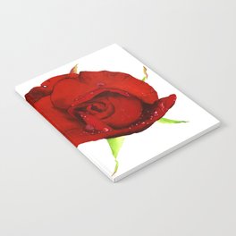 crimson rose Notebook
