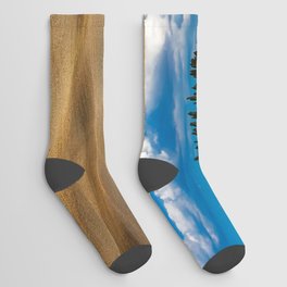 Hills of Tuscany, Italy with clouds and strand of stone pines color landscape photograph / photography for home and wall decor Socks