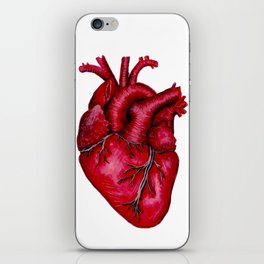Anatomical Heart Painting Red iPhone Skin