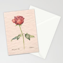 Watercolor vintage red rose flower  Stationery Cards