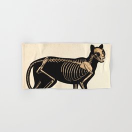 Vintage French zoological board - Cat skeleton Hand & Bath Towel