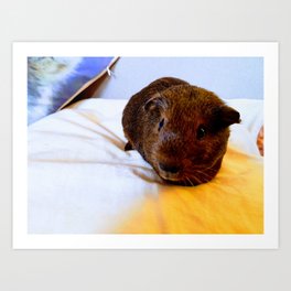 Agouti Guinea Pig Art Print | Guineapig, Cool, Funky, Animal, Digital, Pets, Guineapigs, Kids, Cute, Graphicdesign 