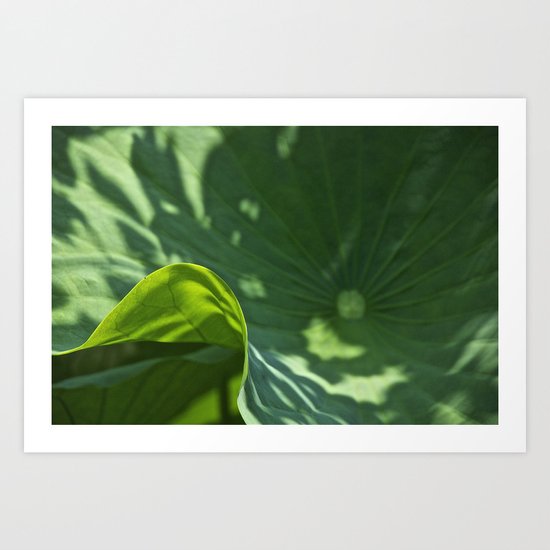 Lotus leaf Art Print