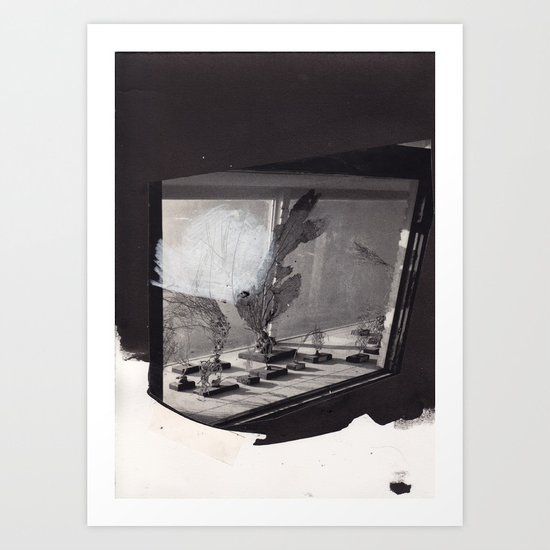 arizona Art Print