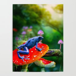 Poison Dart Arrow Frog On Mushroom Poster