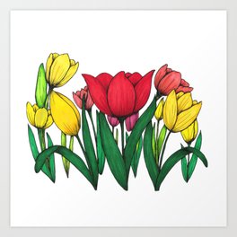 Red and Yellow Tulips Art Print