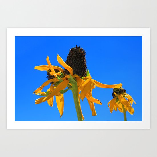 Flowers Art Print