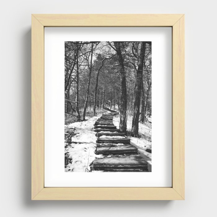 Forest Stairs Black and White Photography Recessed Framed Print