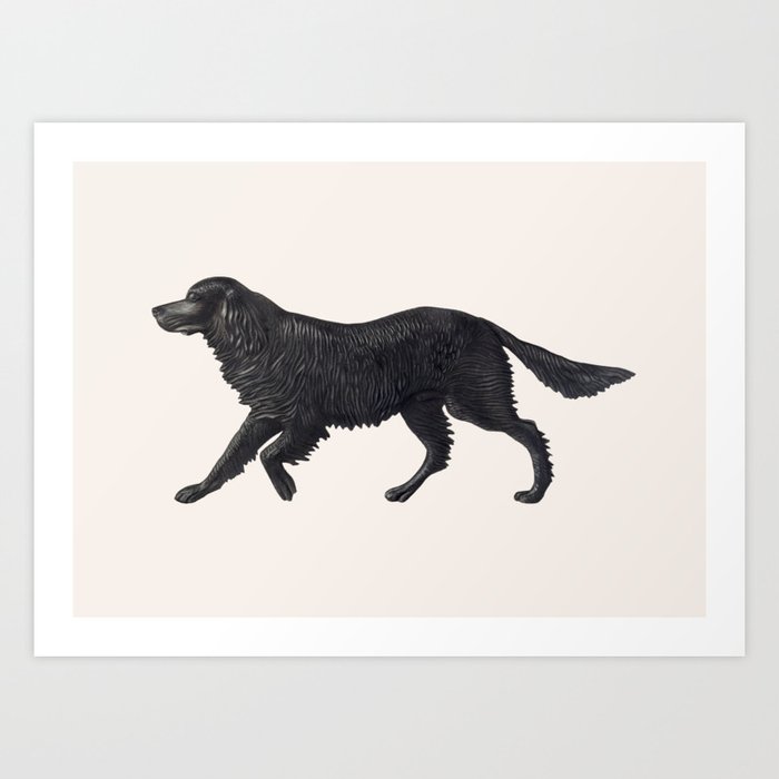 Black Dog - Vintage Illustration Art Print