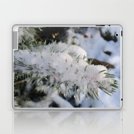 Winter Pine Tree Laptop & iPad Skin