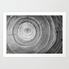 Detailed black and white reclaimed wood tree with circle growth rings pattern Art Print | Organic, Treedesign, Black, Treeslice, Sustainability, Blackandwhite, Rich, Grunge, Environment, Vintage 