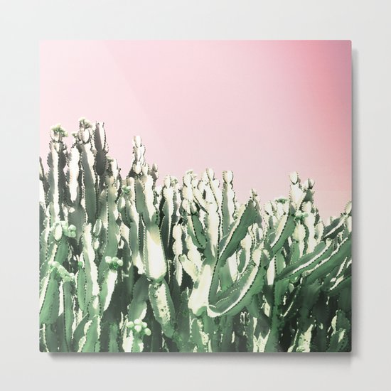 Cactus Cactus Metal Print