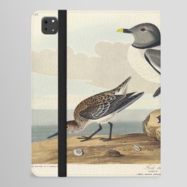 Fork-tailed Gull from Birds of America (1827) by John James Audubon  iPad Folio Case
