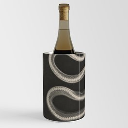 Aesculap-Schlange 'X-Ray of a Snake' Vintage Illustration by Josef Maria Eder Black and White Bones  Wine Chiller