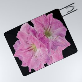 TROPICAL PINK AMARYLLIS FLOWERS ON BLACK Picnic Blanket