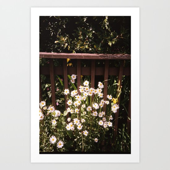 daisy Art Print