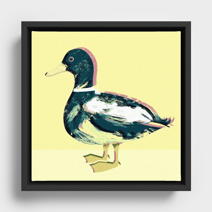 Mallard duck Framed Canvas