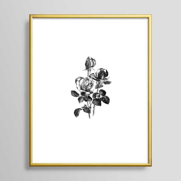 Pencil Roses for Catherine Framed Art Print