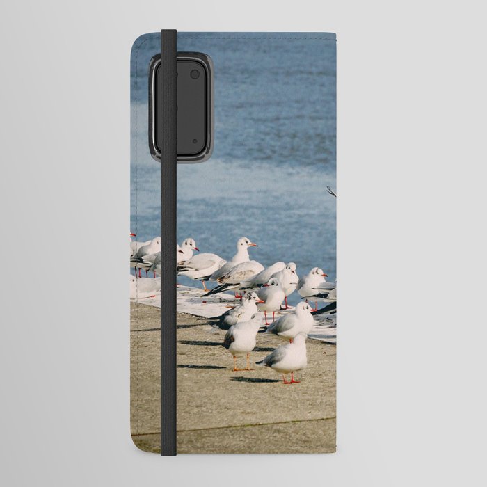 Seagulls | Coastal Birds Nature Photography  Android Wallet Case
