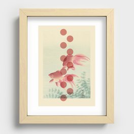 Japanese Koi Fish  Recessed Framed Print