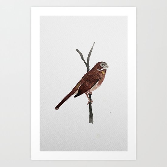 Messenger 002 Art Print