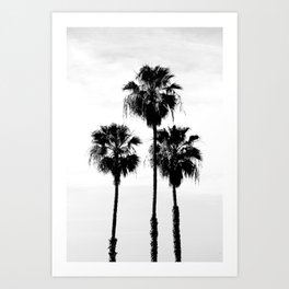 Palm Trees #111 Art Print