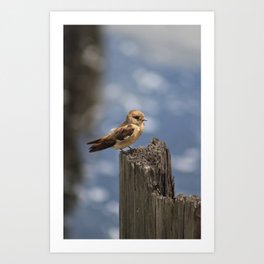 Bird Art Print | Driftwood, Photo, River, Bird 
