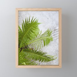 Fern Detail  |  The Houseplant Collection Framed Mini Art Print