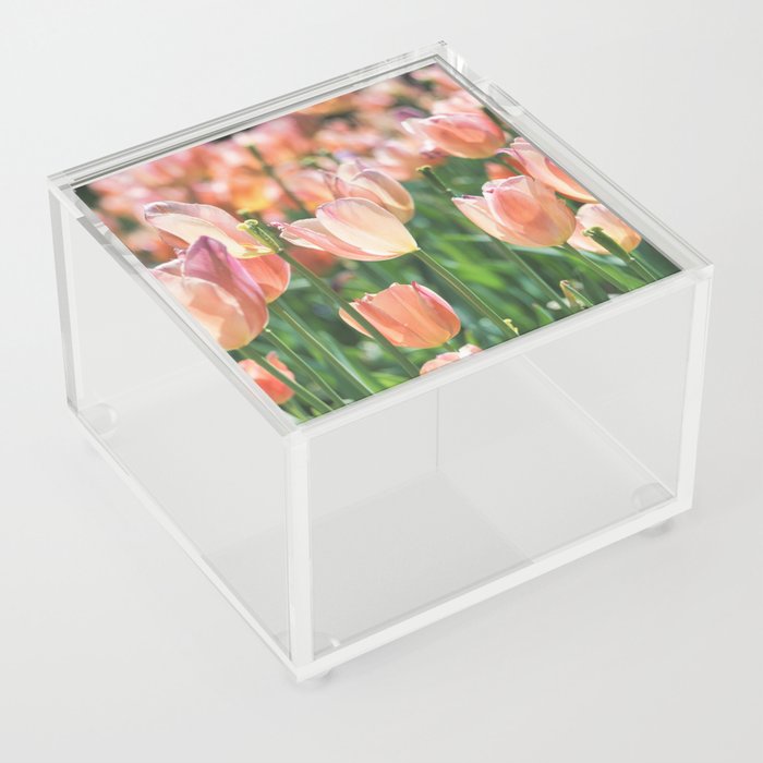 Peach Tulips  Acrylic Box