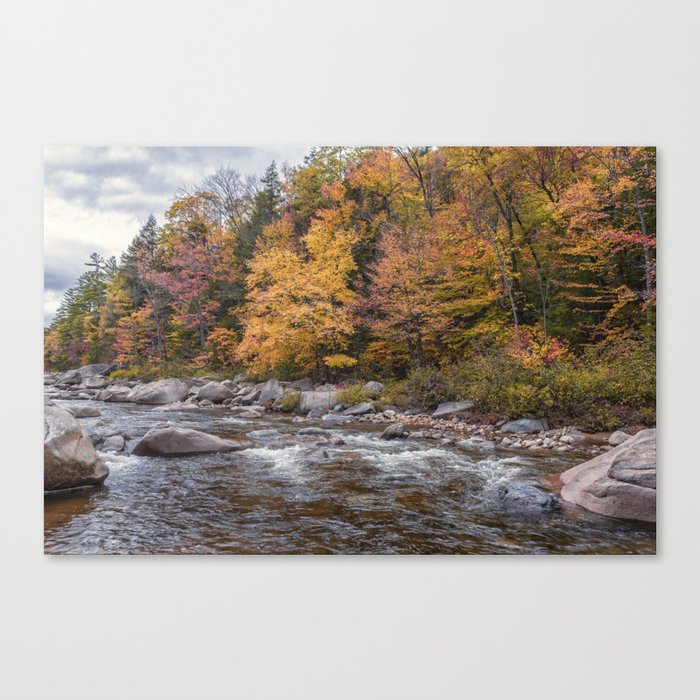 Foliage Creek Canvas Print