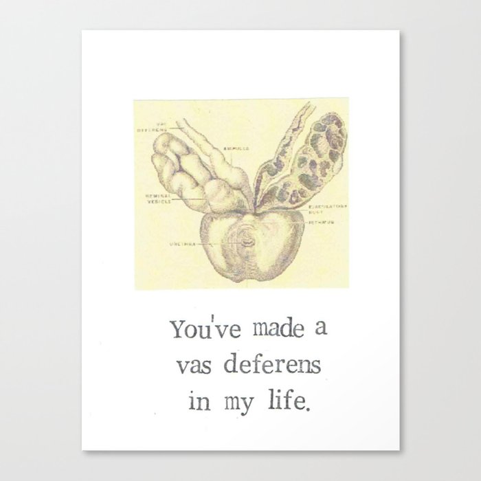 A Vas Deferens In My Life Canvas Print