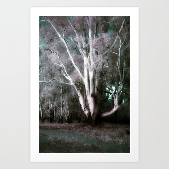 The Old Man of the Forest (False Colour) Art Print