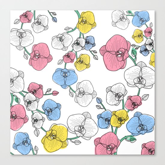 Orchids Canvas Print