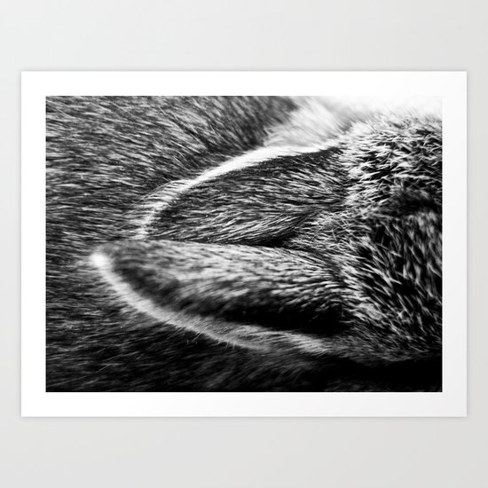 Baby Art Print