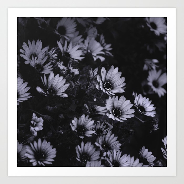 Flowers everywhere Art Print | Photography, Black-and-white, Noir-et-blanc, Flower, Flowers, Fleurs, Nature, Winter, Surrey, Plant