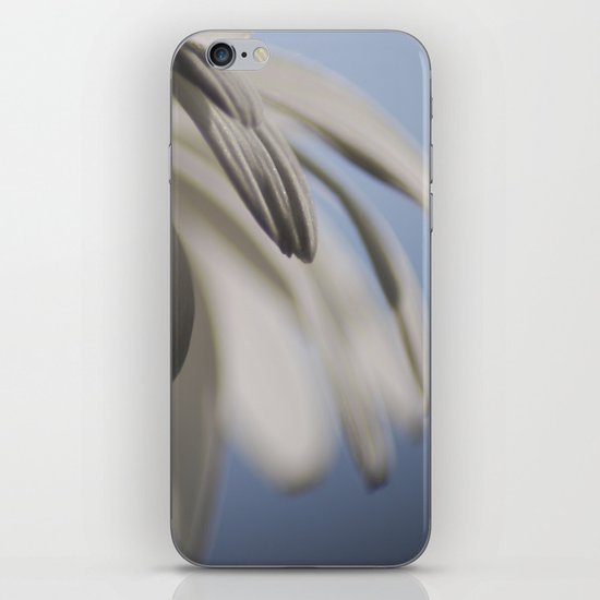 R4 iPhone & iPod Skin