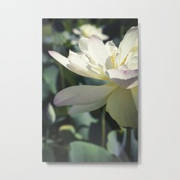 Zen Lotus Flower Metal Print