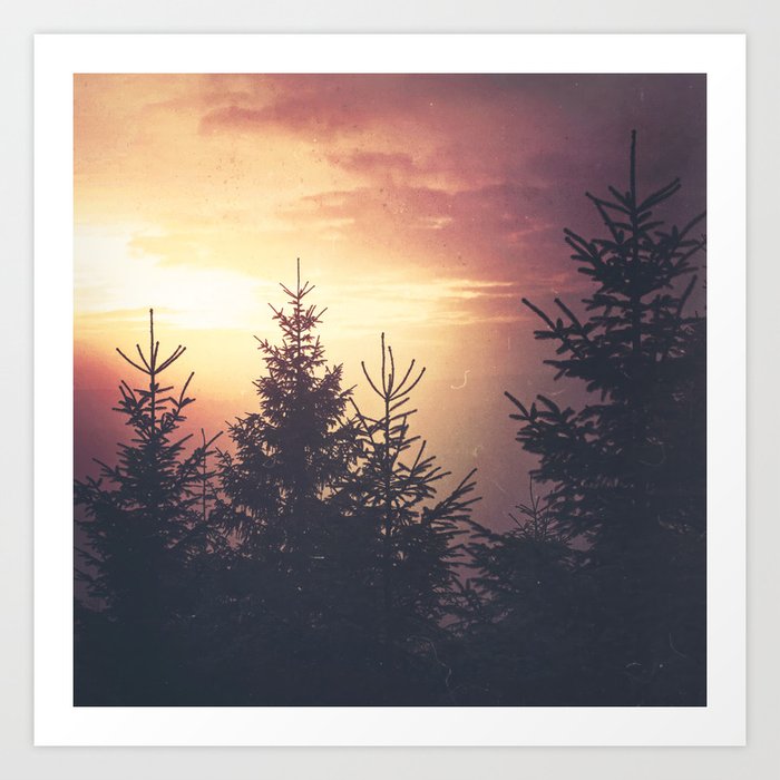 Where The Light Shines Through // Romantic Autumn Sunset Forest With Cascadia Trees Covered In Magic Warm Sun Light Art Print