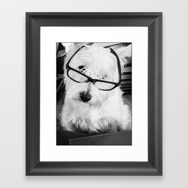 Really? Cute Westie Dog Wearing Glasses Framed Art Print