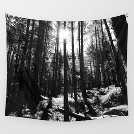 Dark Forest Light in the Scottish Highlands  Wall Tapestry