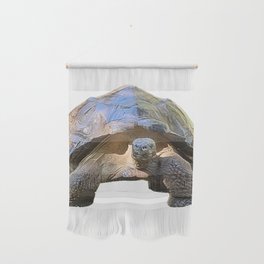 The wise old Tortoise Wall Hanging