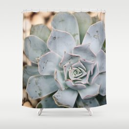 Mexico Photography - The Echeveria Lilacina Plant Shower Curtain