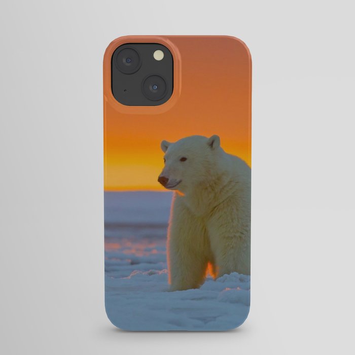 Sunset Polar Bear iPhone Case