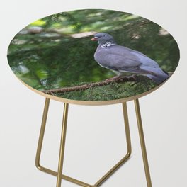 Wood Pigeon on a fir branch in the forest Side Table