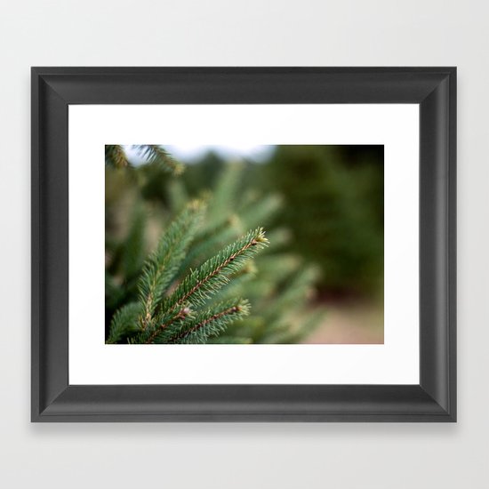 Needles II Framed Art Print
