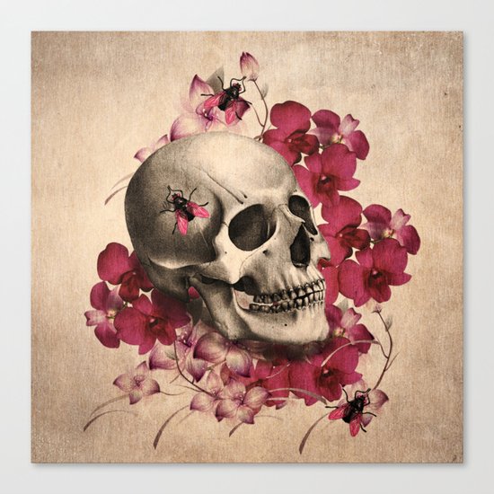 SKULL 2 Canvas Print