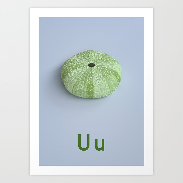U - Urchin Art Print