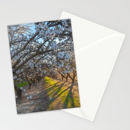 Blossoms Morning Stationery Card