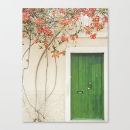 Green Door Santorini Canvas Print