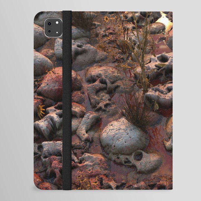 Skull Field iPad Folio Case
